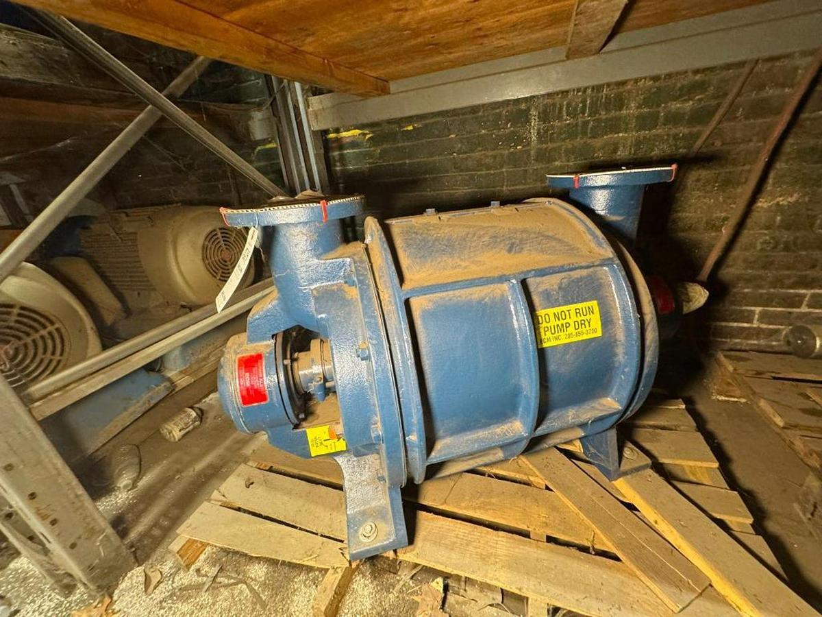 Vooner #LR-10, Vacuum Pump, 175-10600 ADFM, 4.2" Hg, 2022 - Image 1