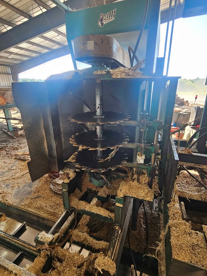 Helle, 5-head Block Sawmill, 200 HP, 52" sawblade, 8'-40' logs, conveyors, turners - Image 7