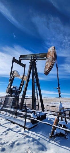320 LeGrand #320-213-100, Pump Jack - Image 3
