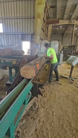 Wood-Mizer #TVS15-USA, Vertical Scragg Mill, 2 bandsaws, 2014, (2 available) - Image 4