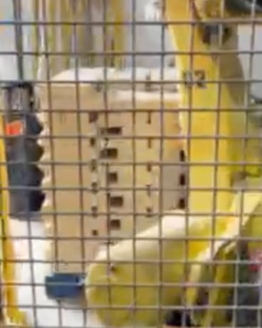 Hoeker #Magnum, Briquette Press Line, Fanuc R2000 Robotic Stacking - Image 5