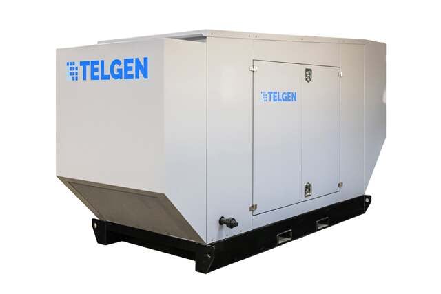 200 KW Telgen PSI 8.8L, Natural Gas / LP Generator, 12 Lead, 1 & 3 Phase, Warranty, NEW - Image 1