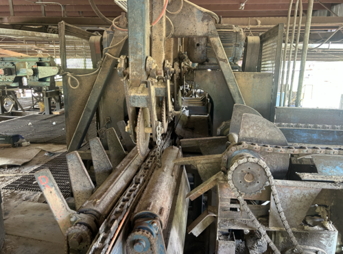 Brewer, Sharp Chain Scragg Mill, Morgan 4-head trim saw, transfer deck, various belts & conveyors, 2013 - Image 3