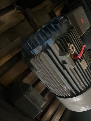 250 HP 1200 RPM Marathon, Frame 447/449T, TEFC, 460 Volts - Image 4