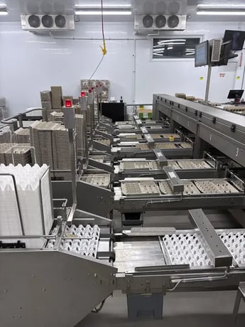 Egg Grader & Packer, Sanovo #Alpha-Grader-100, 100 cases/hour, 6-row roller conveyor infeed, 460 V., 3 Ph. - Image 3