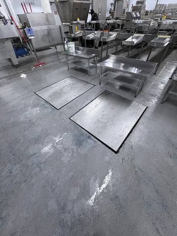 Egg Grader & Packer, Sanovo #Alpha-Grader-100, 100 cases/hour, 6-row roller conveyor infeed, 460 V., 3 Ph. - Image 4