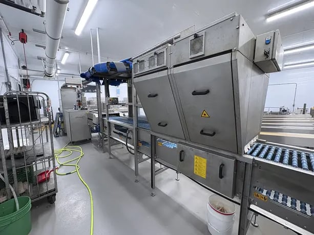 Egg Grader & Packer, Sanovo #Alpha-Grader-100, 100 cases/hour, 6-row roller conveyor infeed, 460 V., 3 Ph. - Image 6