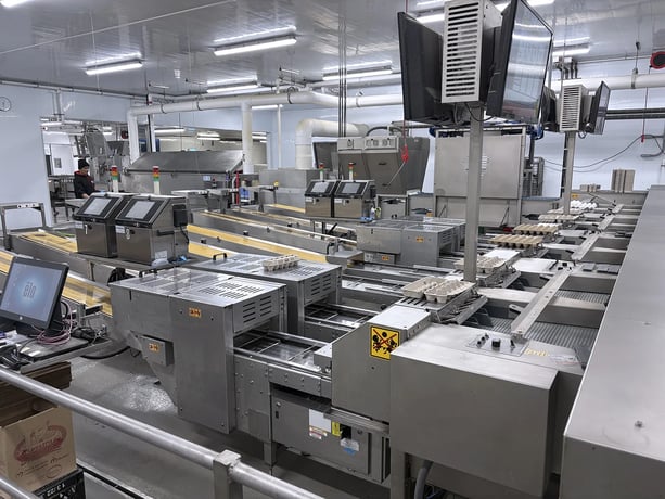 Sanovo #Alpha-Grader-100, egg grading machine, 100 cases/hr, 460 V., 3 Ph., 2017 - Image 2