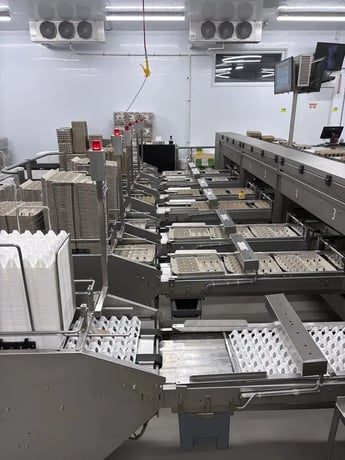 Sanovo #Alpha-Grader-100, egg grading machine, 100 cases/hr, 460 V., 3 Ph., 2017 - Image 3