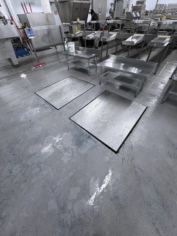 Sanovo #Alpha-Grader-100, egg grading machine, 100 cases/hr, 460 V., 3 Ph., 2017 - Image 4