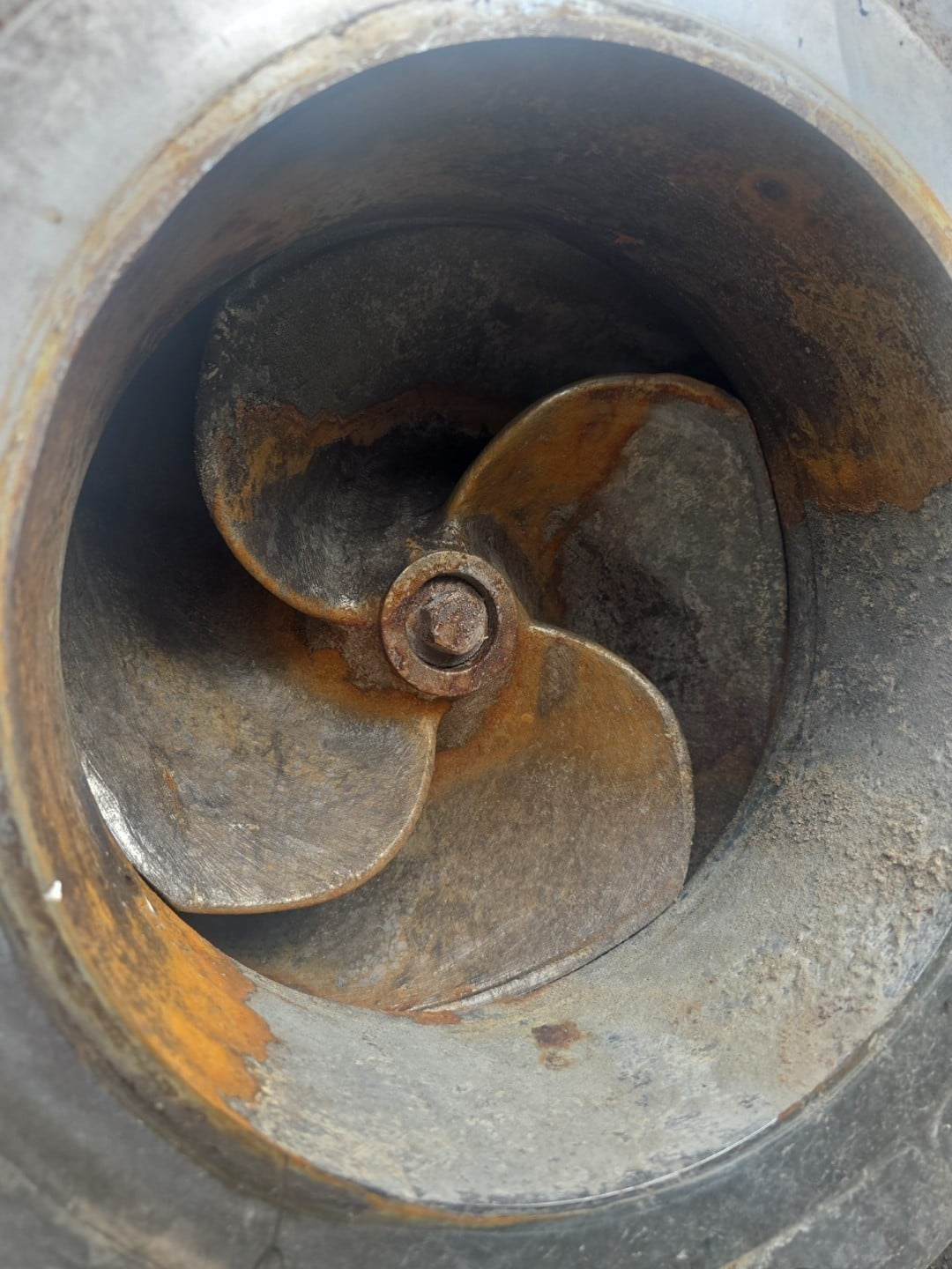 10x12-18 Goulds #3175M, Centrifugal Pump, 316SS - Image 4