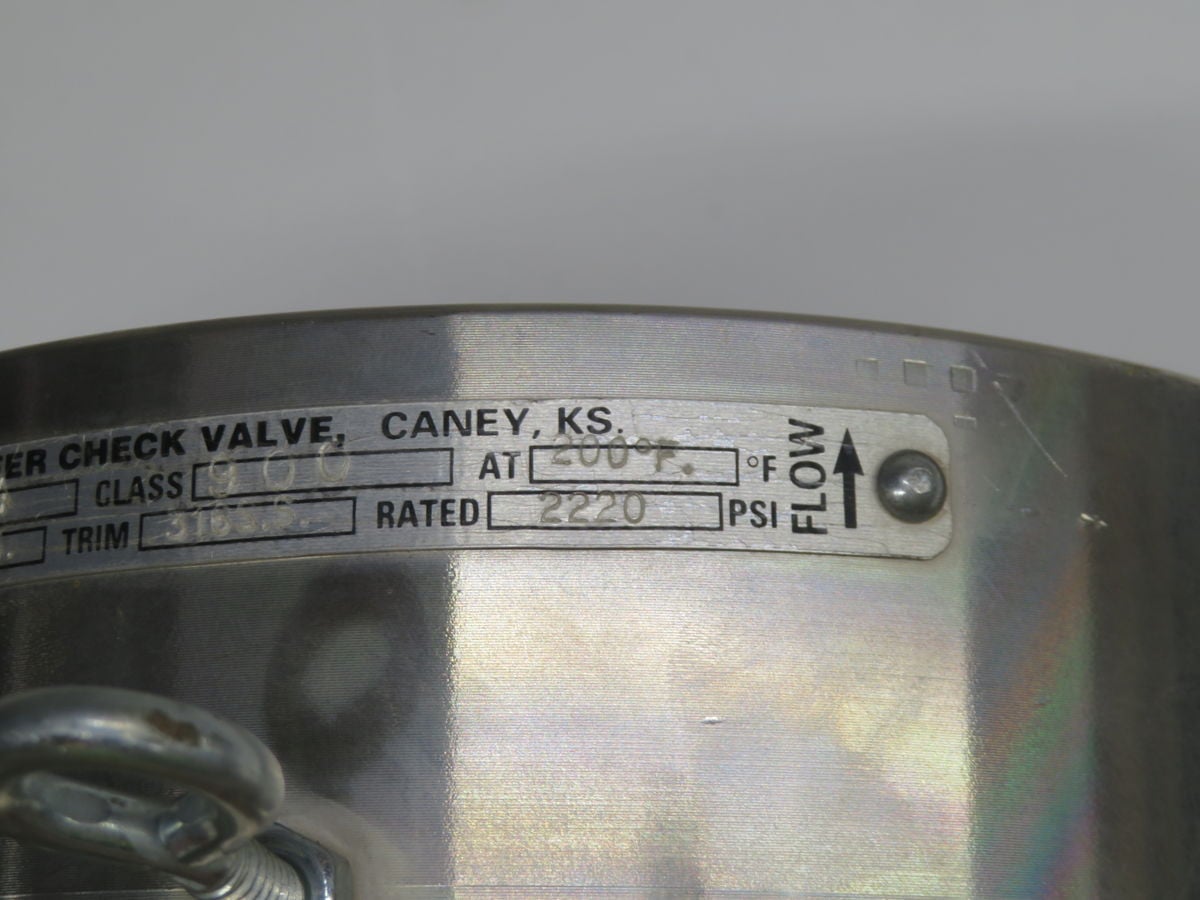 Arrow, Class 900 check valve - Image 5