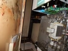 54 x .25 Sesco #12-XXX, straightener, 2 over 3, 150 FPM max - Image 9