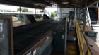 12 Person elevated sorting stations, 48", approx. 8 years old, used - Image 5