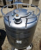 200 gallon Renaissance Industries Stainless Steel Sharpsville Container, Stainless Steel Sanitary Mixing - Image 2