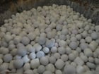 Alumina pebble mill media, 6000 lb. - Image 2