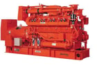 Waukesha #P48GL, Natural Gas Genset, 805 KVA, 4160 Volts, 1800 RPM, new 2023 - Image 1