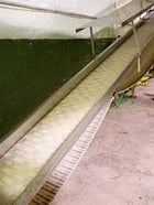 18" wide x 27' long, Intralox, Incline Conveyor - Image 4