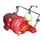 10 GPM, Itt Bell & Gossett Bell & Gossett #1-1/4AA41, Centrifugal Pump, 0.25 HP, 1725 RPM, 15' Head, 1.25" - Image 1