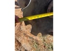 Kello 225DOW, Tillage Equipment, 9999 hours, S/N: PCM0182946, 2018 - Image 8