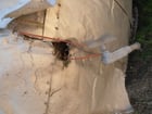 6000 gallon Carbon Steel Storage Tank, Epoxy, Jkt, 9'10" diameter x 12' high, 3" diameter side bottom outlet - Image 10