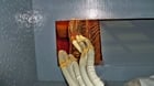 5000/4300 HP 1190 RPM Toshiba, Frame 560-1800, WPIISB, 4160/7200 Volts - Image 9