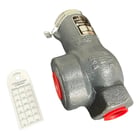 Cyrus Shank 804 Relief Valve - Image 2