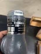 Cyrus Shank 804 Relief Valve - Image 8