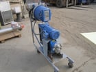 Waukesha #010, Waukesha Steel positve displacement pump, 1/2 HP, 1" inlet/outlet, portable on cart - Image 1