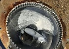 Sturtevant #3B, Pin Mill, Carbon Steel, 16" diameter, 6" x 6" flanged inlet, 10 HP, 230/460V, 3425 RPM - Image 4
