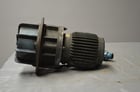 Gyrator Type Electric Vibrator 13" Flange 9" Rotor Motor .75 HP Vibra Feeder, Used - Image 4