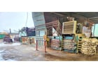 Harris / Selco #HLO-8112-AR-200, auto-tie horizontal baler, 100 HP, 12" cylinder, 80" hopper, 1999 - Image 2