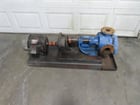 2" Viking #LQ4125, gear pump, 5 HP explosion proof 230/460 motor, serial #10525778 - Image 1