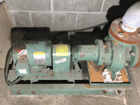 Circulating Pump, 1.5 HP - Image 1