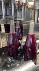 GAI #12-Head, Mobile Bottling Truck w/ Filling Line, 59000 Mile Diesel Truck, 2017 - Image 4