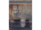 Caterpillar PC205B, Cold Planer, S/N: 0PCS00279, - Image 4
