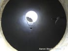 Henkhaus, Stainless Steel Double Cone Vacuum Dryer, 8000 liter capacity, 118" diameter x 39" straight side x - Image 3