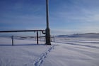 10" x 30' John Zink Company Self Supported Flare Stack - Image 2