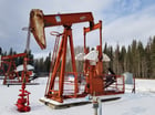 160 LeGrand #160-173-430, pump jack, 1984 - Image 2