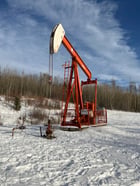 160 LeGrand #160-173-74, pump jack, 1999 - Image 1