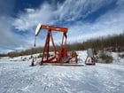 160 LeGrand #160-173-74, pump jack, 1999 - Image 2