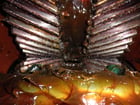 3500 HP @ 3550 RPM, Philadelphia #105-MHS, Parallel Shaft Gearbox, 6190 RPM output, 1.74 Ratio, 1.5 service - Image 8