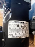 Caterpillar #25F05SEEL, Pump Set, for DPF Injection, 3 phase, 4-pole, 230/460 V - Image 7