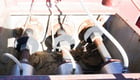 95 GPM @ 7000 psi, NLB #7400D, Triplex Production Pump, 7.13" stroke, 1.75" plungers, 3.4" suction, 2.46" - Image 6