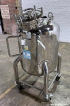 68.6 gallon Olsa, 250 Liter Vertical 316L Stainless Steel Pressure Tank, Vertical, 7.55" (700mm) diameter x - Image 3