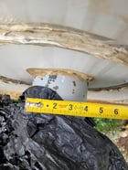 66" Sweet Vertical Separator, 2-phase Cyclone, 650 psi, 2008 - Image 5