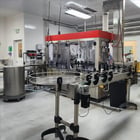 Newmapak #Babybloc, Monoblock rinser, filler & capper, 1700 BPH, conveyor, 2021 - Image 3