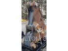 Caterpillar MP332 DEMOLITION JAW, S/N: JGE00309, 2022 - Image 3