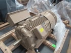 300 HP 3600 RPM General Electric, Frame 508/509LS, TEFC, BB, new, 2300/4000 Volts - Image 3
