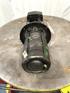 Grundfos #A98443654P11336, Pump w/Motor, 3 HP - Image 4